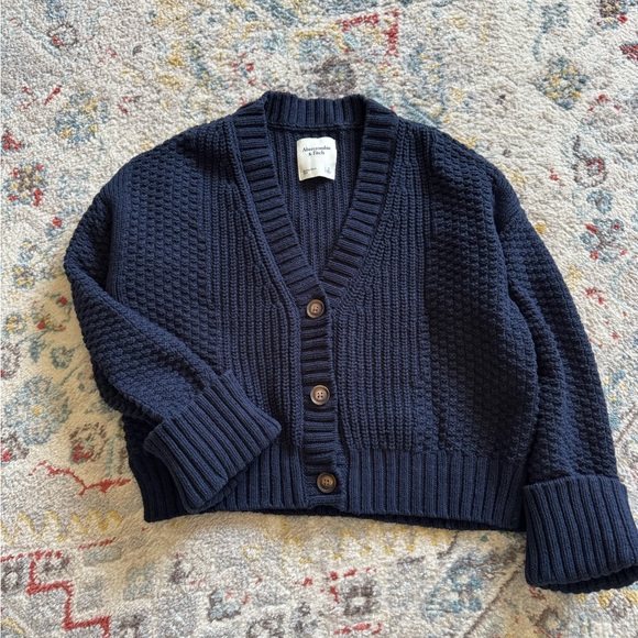 Abercrombie & Fitch Sweaters - Abercrombie & Fitch Navy Chunky V-Neck Button Cardigan